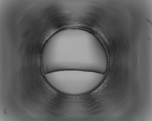 X0000093581409200710150948