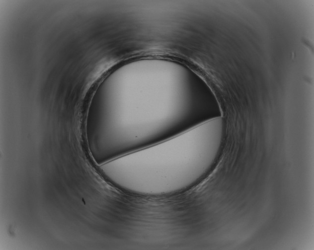 X0000093581410200710150948