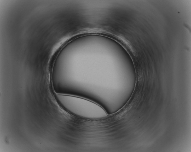 X0000093581414200710150948