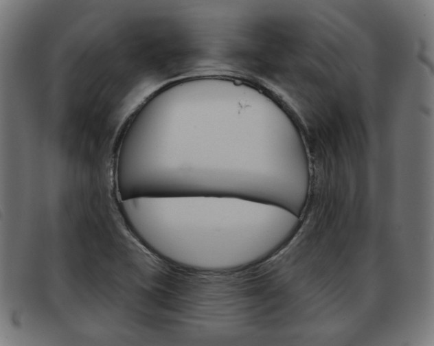X0000093581415200710150948