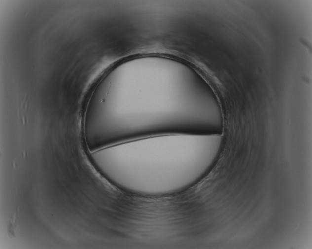 X0000093581416200710150948