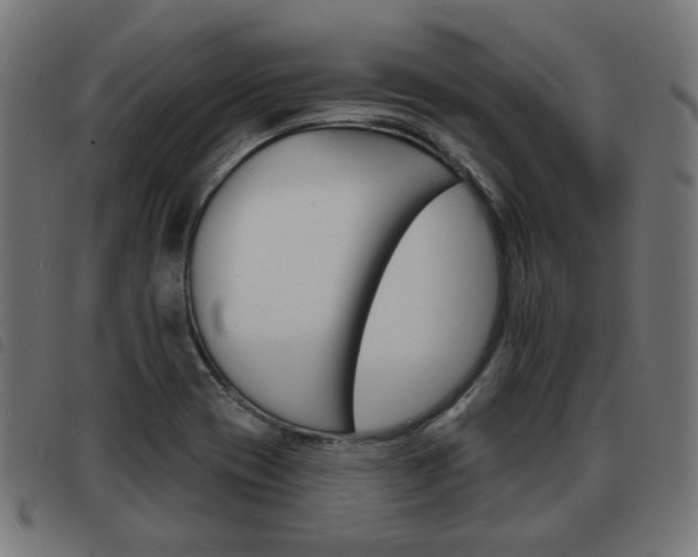 X0000093581417200710150948