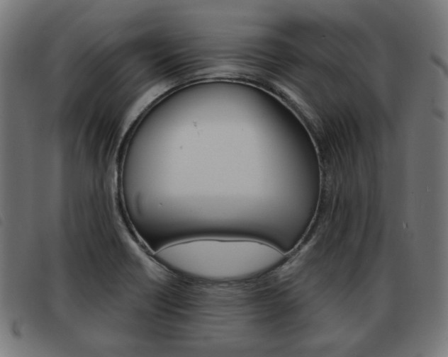 X0000093581418200710150948