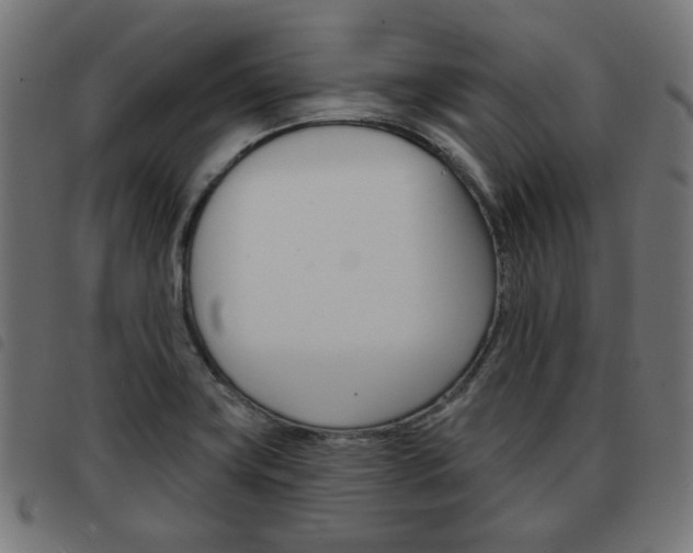 X0000093581419200710150948