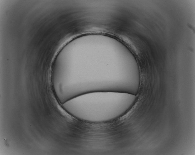 X0000093581421200710150948