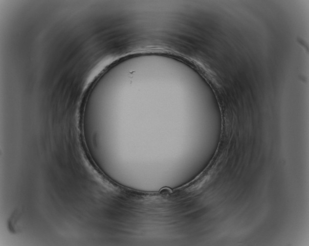 X0000093581422200710150948