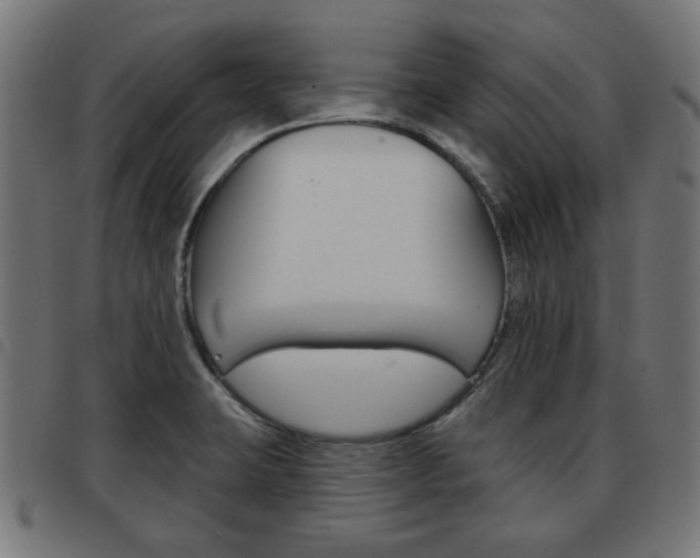 X0000093581423200710150948