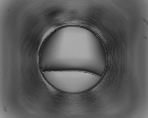 X0000093581424200710150948
