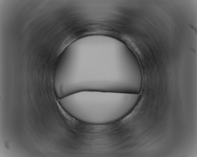 X0000093581425200710150948