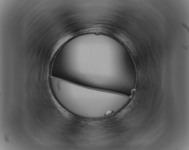 X0000093581426200710150948