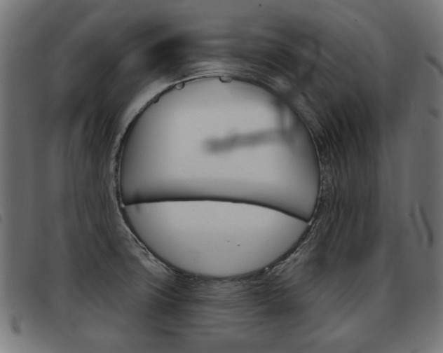 X0000093581427200710150948