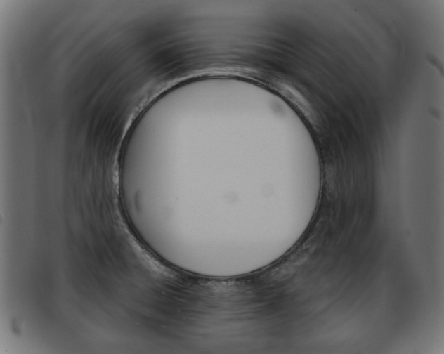 X0000093581428200710150948