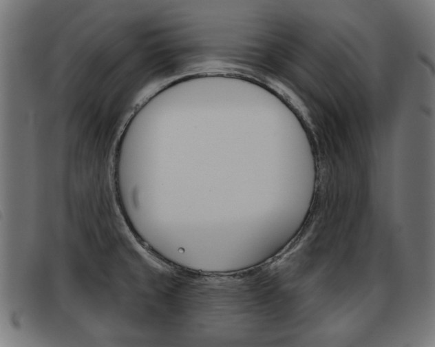 X0000093581429200710150948