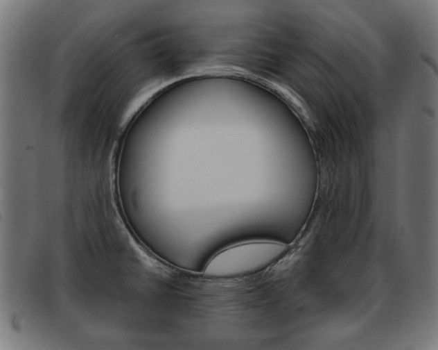 X0000093581430200710150948