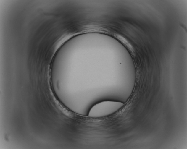 X0000093581431200710150948