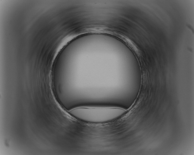 X0000093581432200710150948