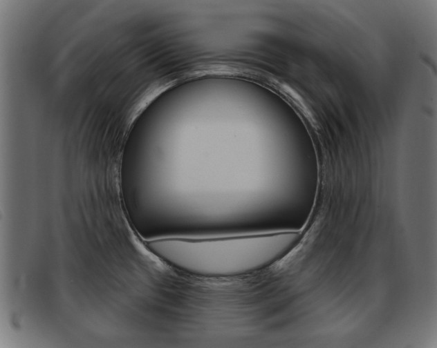 X0000093581433200710150948