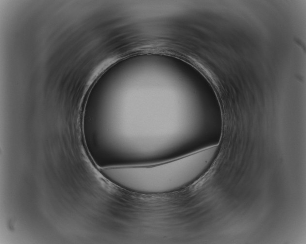 X0000093581434200710150948