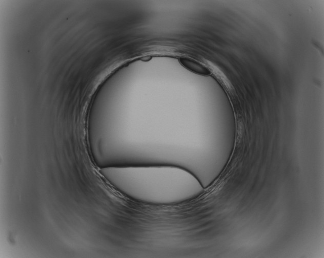 X0000093581435200710150948
