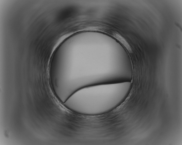 X0000093581436200710150948