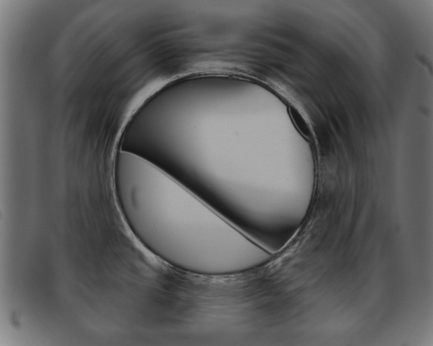 X0000093581437200710150948