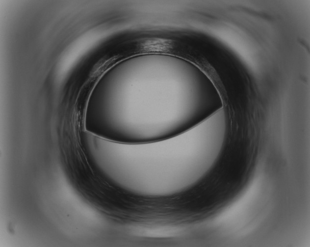 X0000093581438200710150948