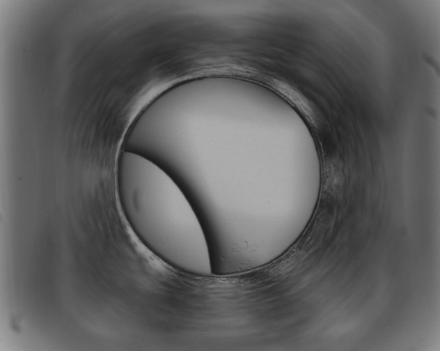 X0000093581439200710150948