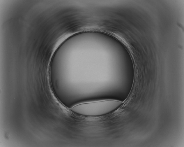 X0000093581440200710150948