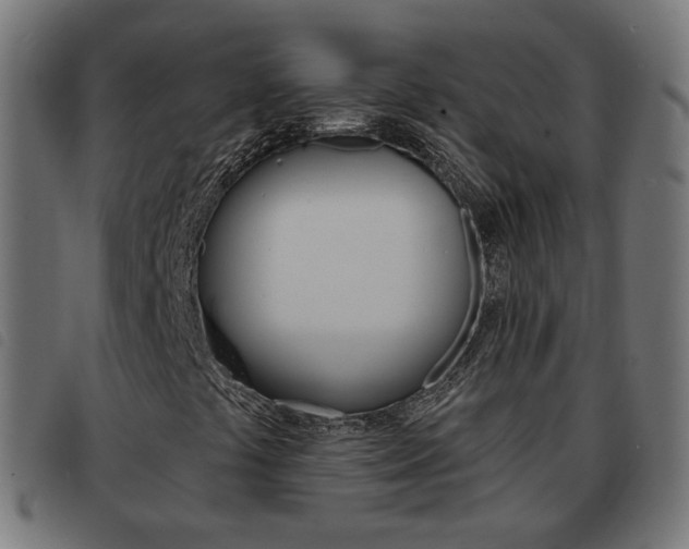 X0000093581441200710150948