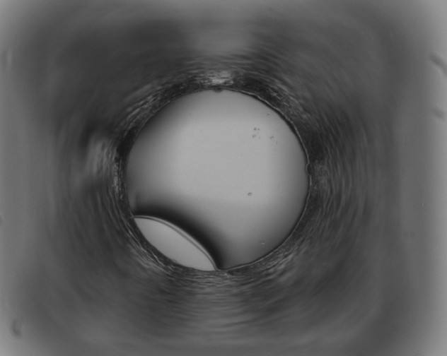 X0000093581442200710150948