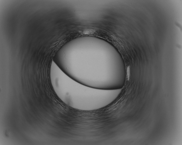 X0000093581443200710150948