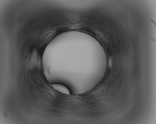 X0000093581444200710150948