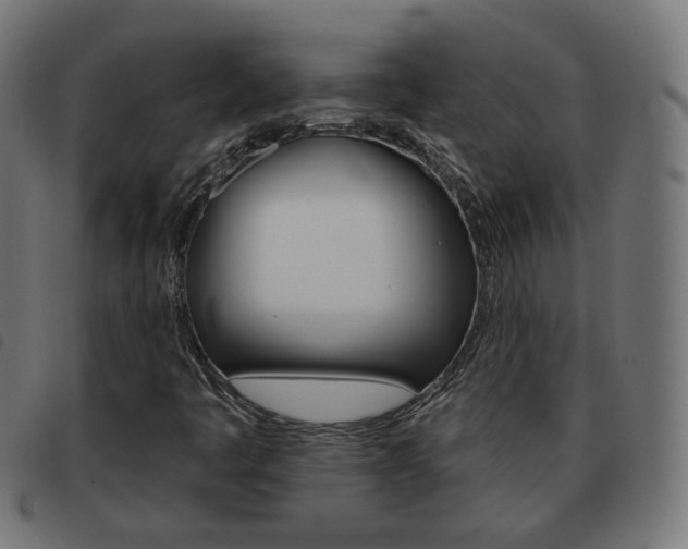 X0000093581445200710150948