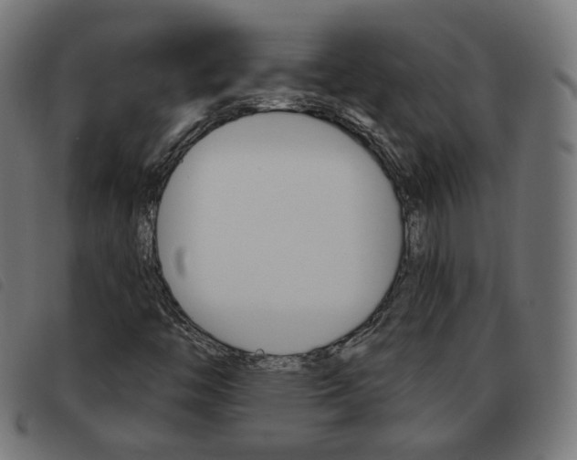 X0000093581446200710150948