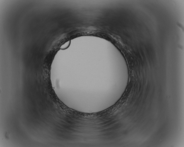 X0000093581447200710150948