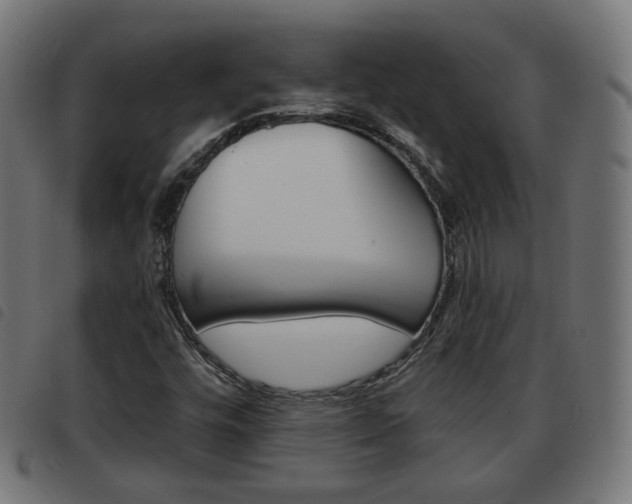X0000093581448200710150947