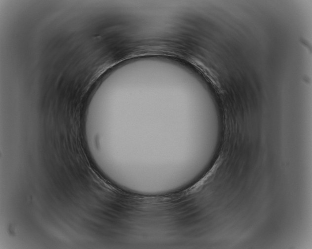 X0000093581449200710150947