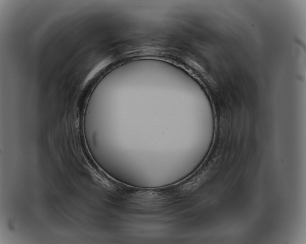 X0000093581450200710150947