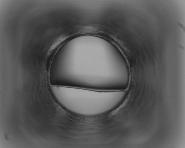X0000093581453200710150947
