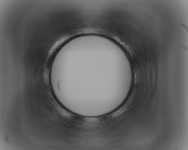 X0000093581454200710150947