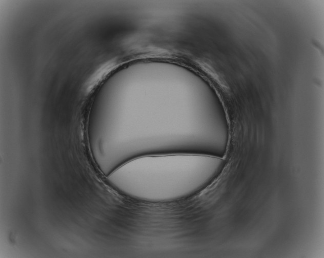 X0000093581455200710150947