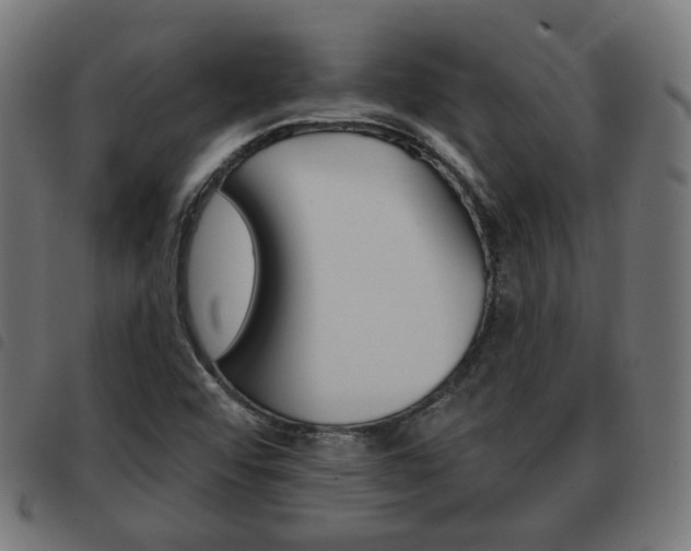 X0000093581456200710150947