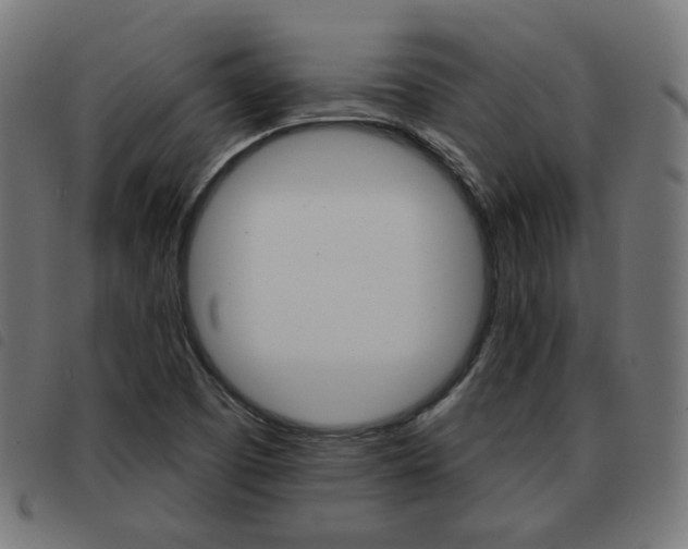 X0000093581457200710150947