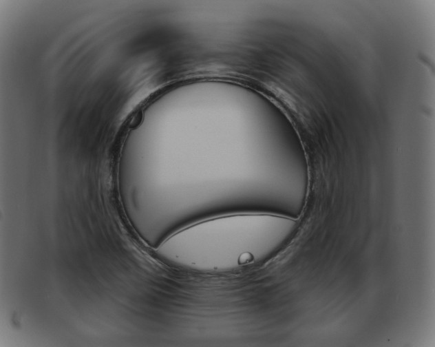 X0000093581458200710150947