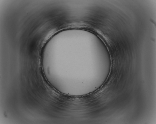 X0000093581459200710150947