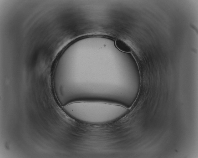 X0000093581460200710150947