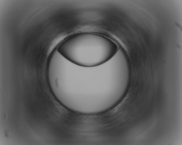 X0000093581461200710150947