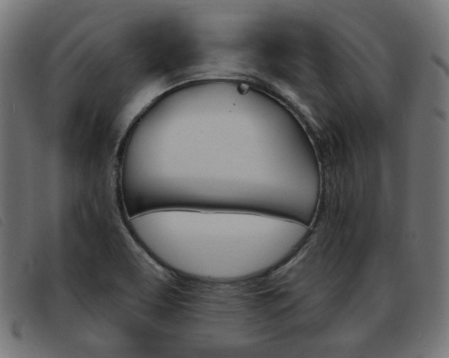 X0000093581463200710150947