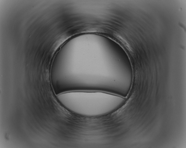 X0000093581465200710150947