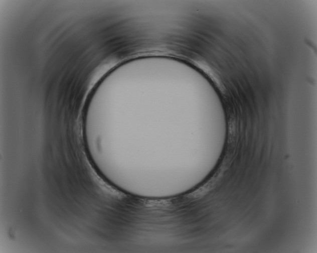 X0000093581466200710150947